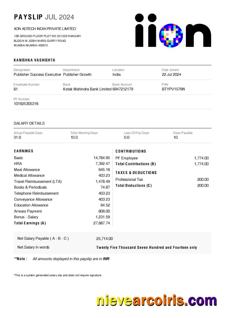 IION Adtech India payslip